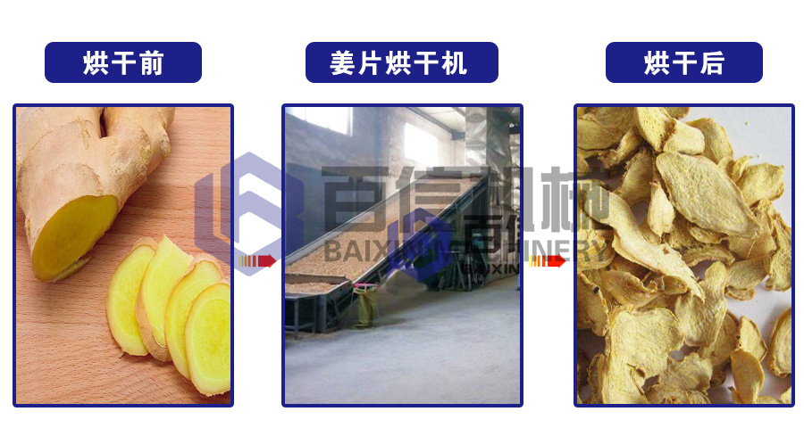生姜烘干機