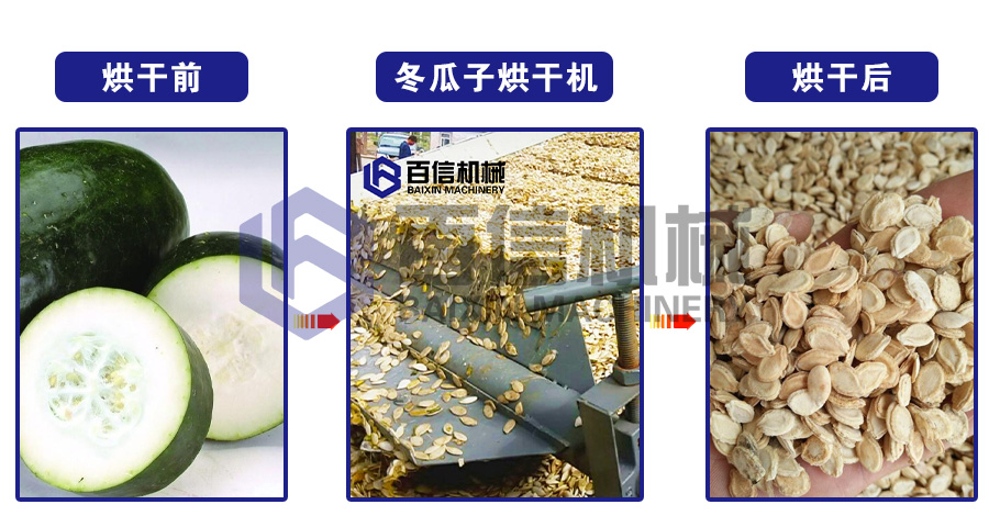 冬瓜烘干機