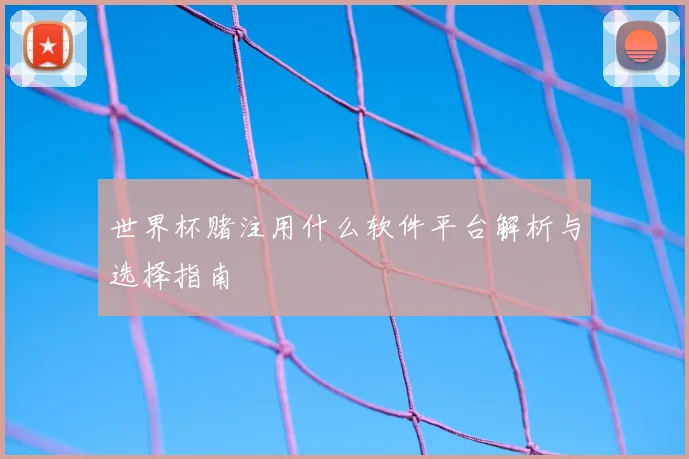 世界杯赌注用什么软件平台解析与选择指南