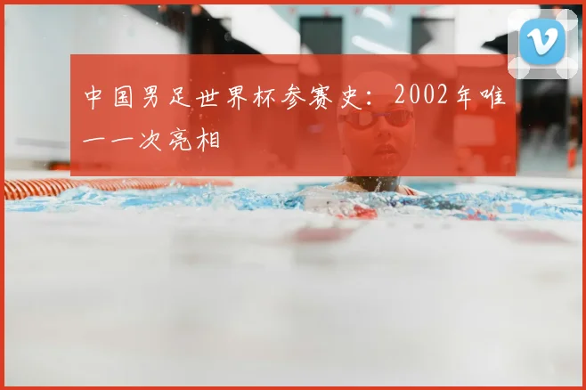 中国男足世界杯参赛史:2002年唯一一次亮相