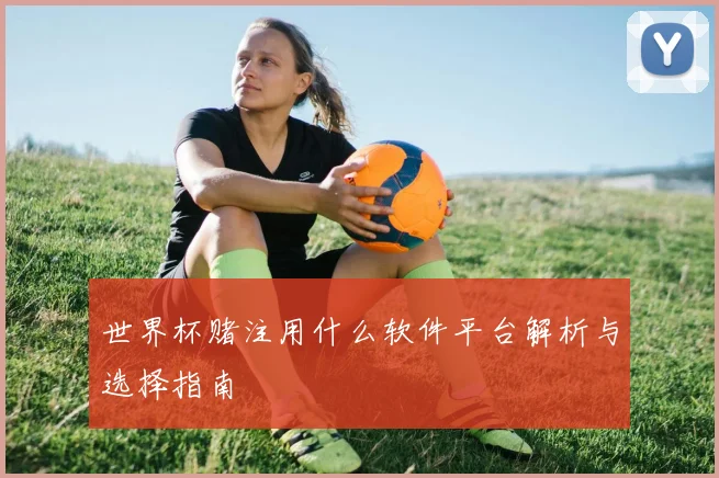 世界杯赌注用什么软件平台解析与选择指南