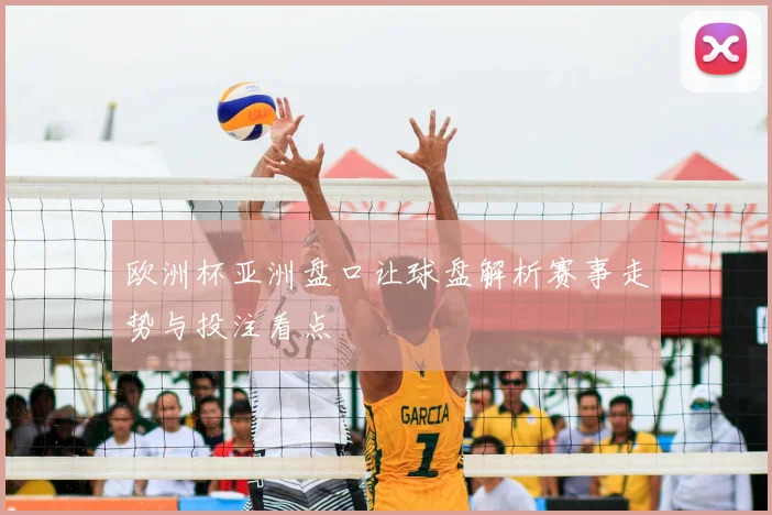欧洲杯亚洲盘口让球盘解析赛事走势与投注看点