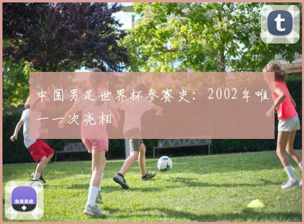 中国男足世界杯参赛史:2002年唯一一次亮相