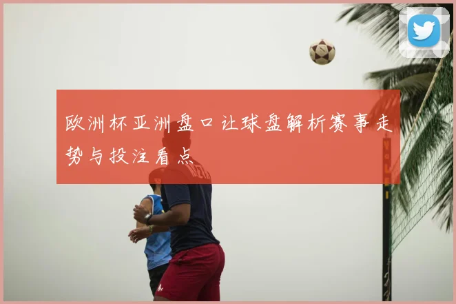 欧洲杯亚洲盘口让球盘解析赛事走势与投注看点