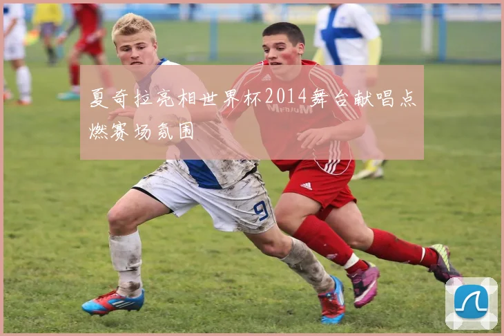 夏奇拉亮相世界杯2014舞台献唱点燃赛场氛围
