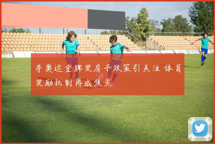 夺奥运金牌奖房子政策引关注 体育奖励机制再成焦点