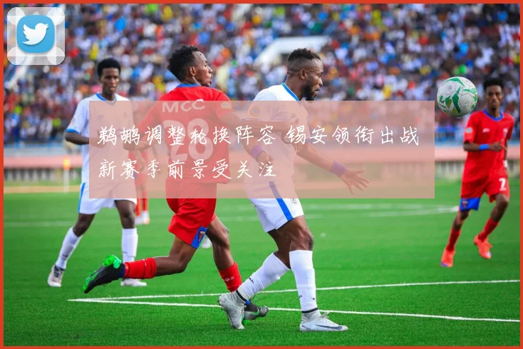 鹈鹕调整轮换阵容 锡安领衔出战 新赛季前景受关注