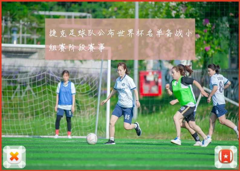 捷克足球队公布世界杯名单备战小组赛阶段赛事