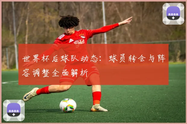 世界杯后球队动态：球员转会与阵容调整全面解析