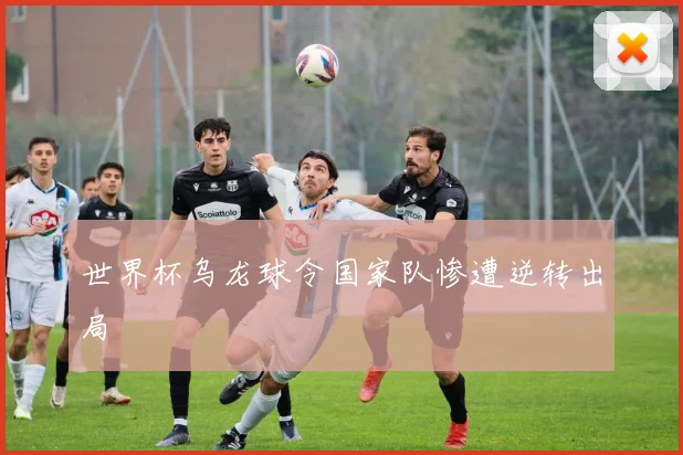 世界杯乌龙球令国家队惨遭逆转出局