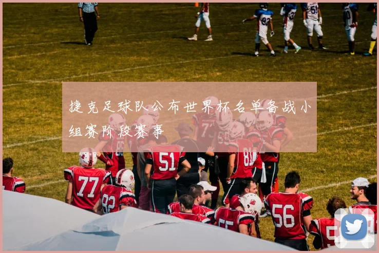 捷克足球队公布世界杯名单备战小组赛阶段赛事
