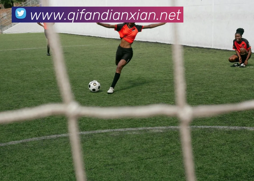 投注app官网发展历程